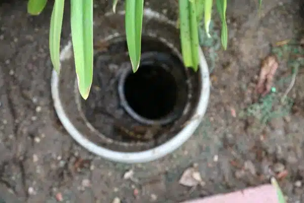 Sewer Line Inspections By A Plumber Near Me - Tioga Contractors