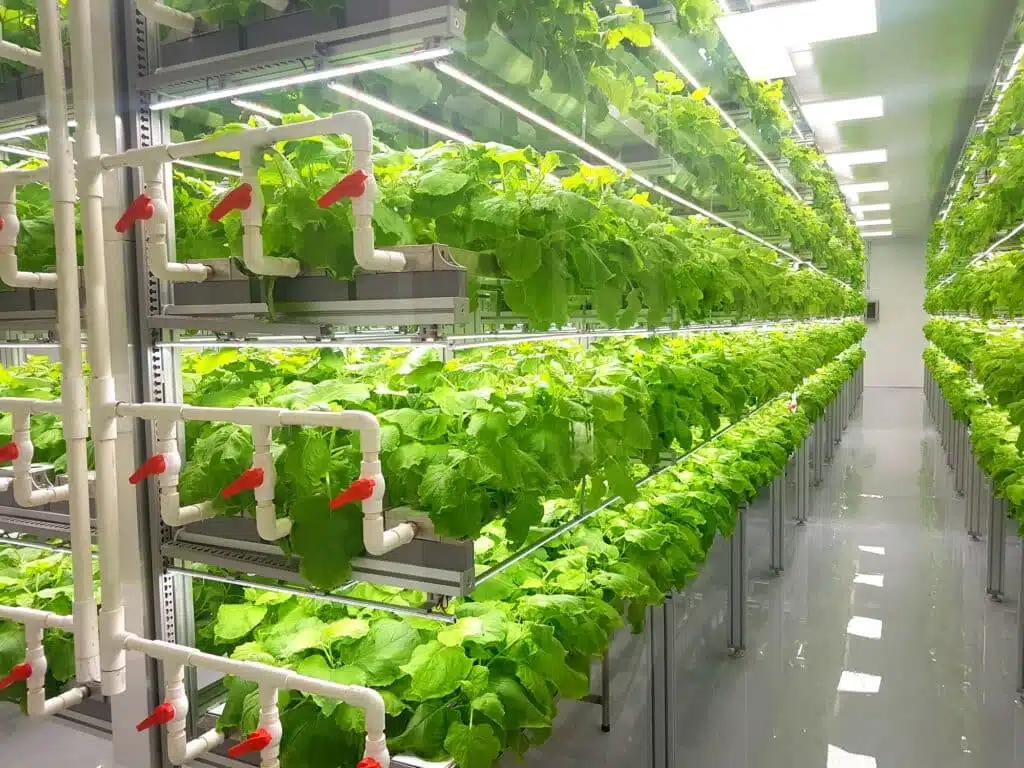 Plumbing Solutions for Vertical Farming - Tioga Contractors