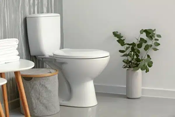 Types Of Toilets You May Consider Installing - Tioga Contractors