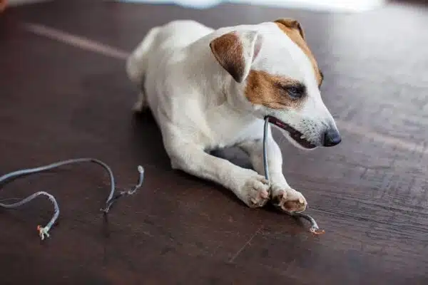 7 Things Every Electrician Wants You to Know - Tioga Plumbing and Electric