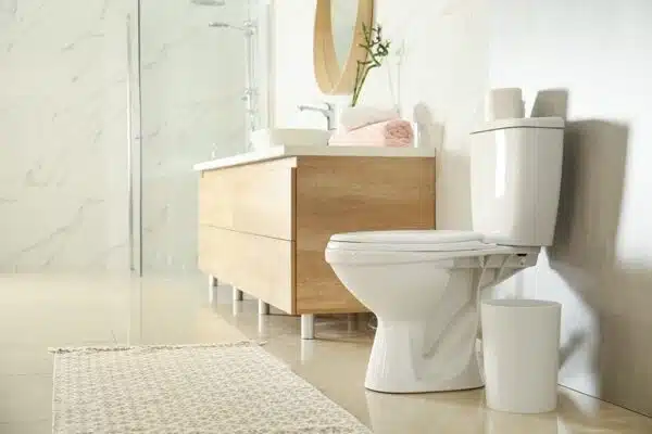 Common Problems You Will Need A Plumber To Resolve - Tioga Plumbing and Electric