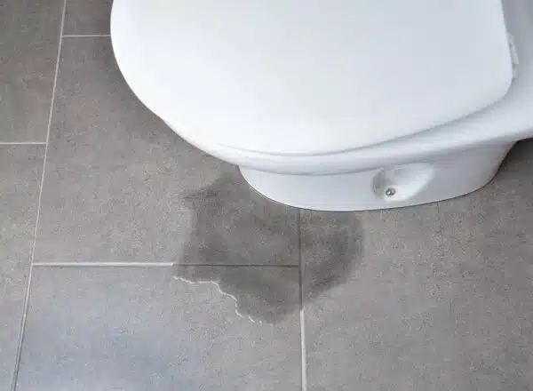 Common Reasons Why Your Toilet Is Leaking - Tioga Plumbing and Electric