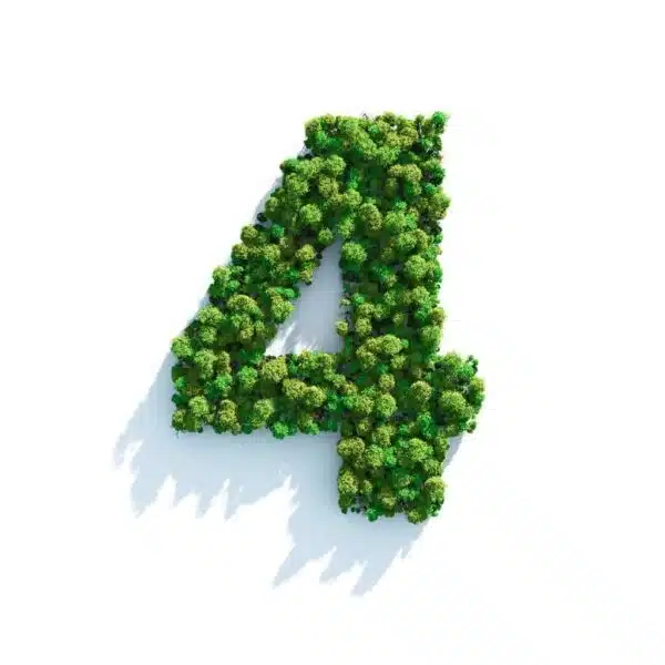 4 Plumber Tips To Removing Tree Root Intrusions - Tioga Plumbing and Electric
