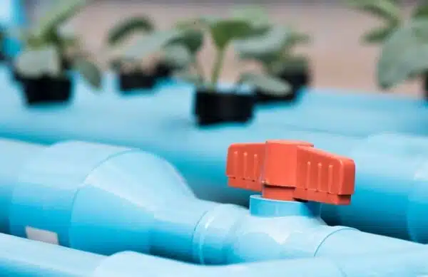 Plumbing Essentials for Hydroponic Gardens - Tioga Plumbing and Electric