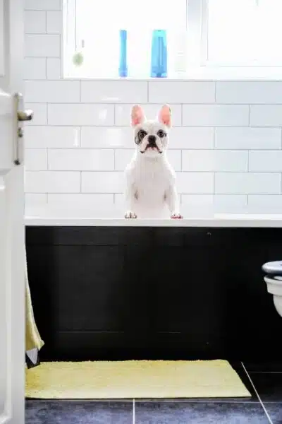 Annual Drain Cleaning Service Bedford - Tioga Plumbing and Electric