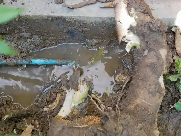 7 Signs That You Need To Call A Plumber Who Specializes In Water Line Repair